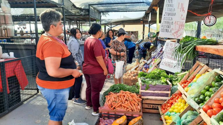 Mercado Popular