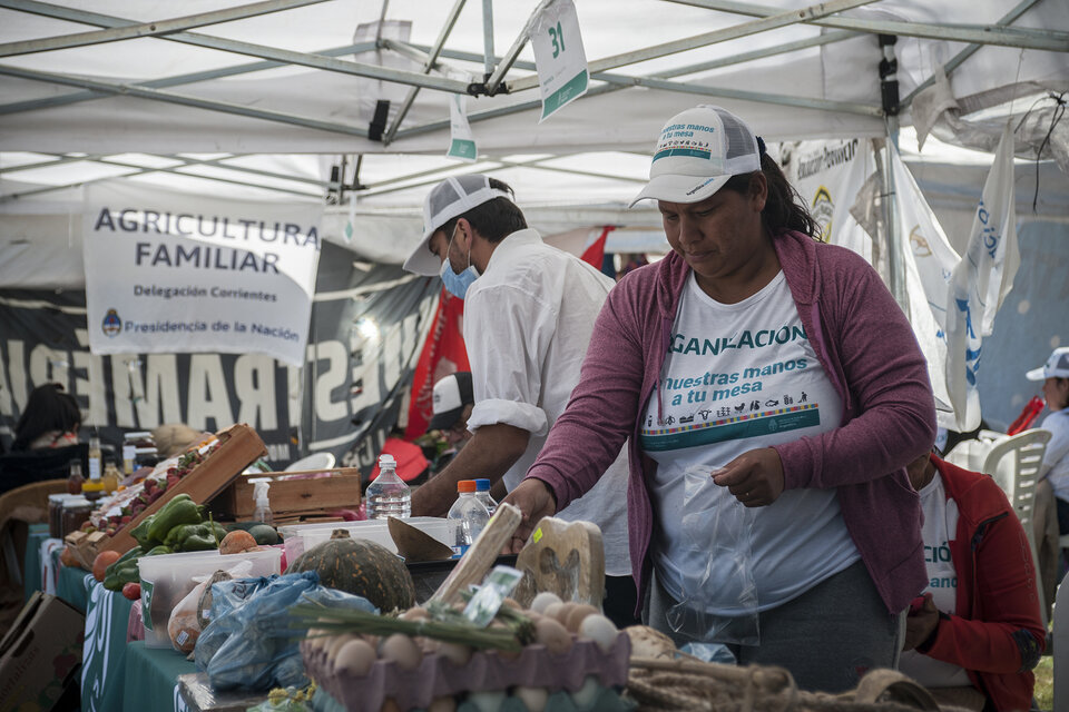 Instituto Nacional de la Agricultura Familiar, Campesina e Indígena 1