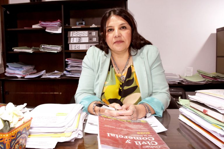 Jueza del Juzgado de Menores, Dra. Alicia Valdez