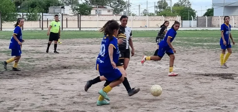 Liga Riojana Femenina de Futbol