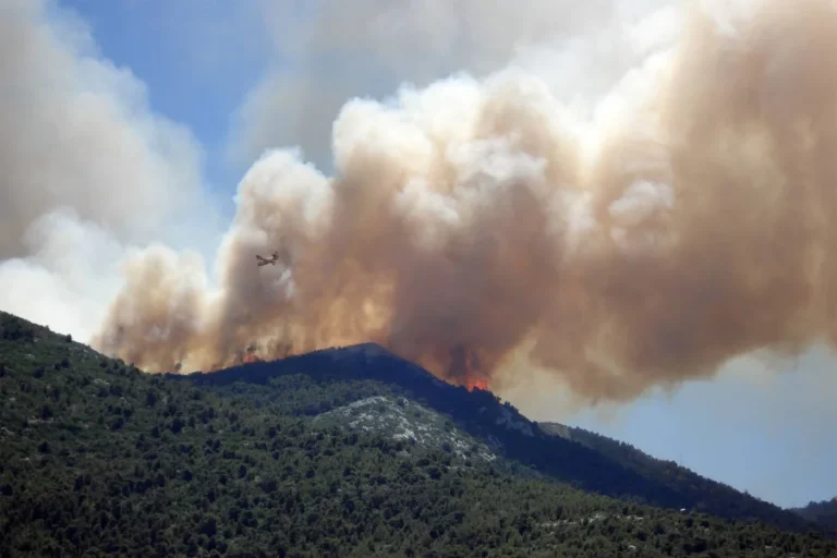 Incendio - cerro de la cruz