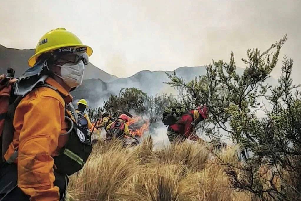 fuego-incendio_cordoba-2024-01