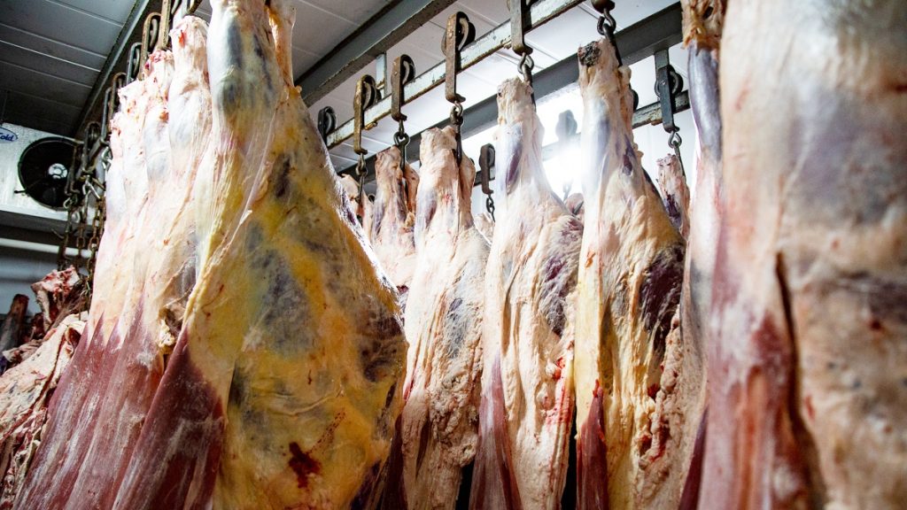 carne