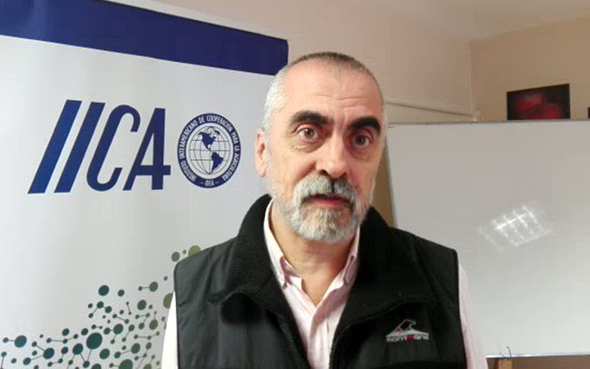 cortese-web
