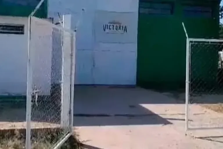 l_1754578973