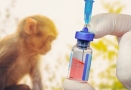 La Unión Europea autorizó el uso de la vacuna Imvanex contra la viruela del mono