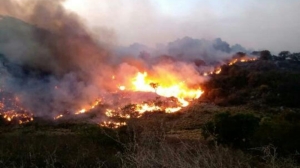 Voraz incendio se registró en Sierra de los Quinteros en la localidad de Tama