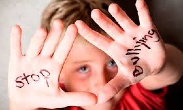 “El bullying no solo forma parte del ámbito educativo se debe trabajar bajo la corresponsabilidad”